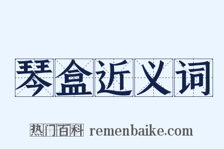 琴盒近义词是什么意思的图片
